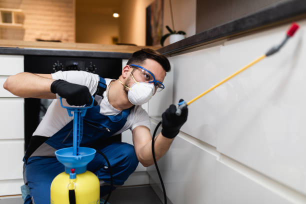 Best Flea Control Services  in South Woodstock, CT