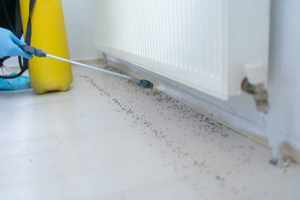 Best Commercial Pest Control Services  in South Woodstock, CT