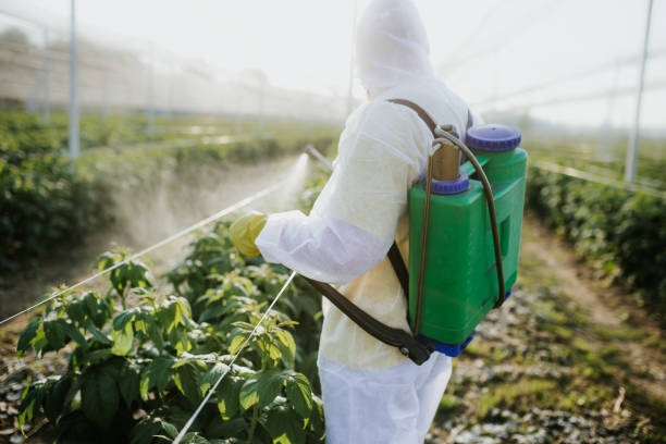 Best Residential Pest Control  in South Woodstock, CT